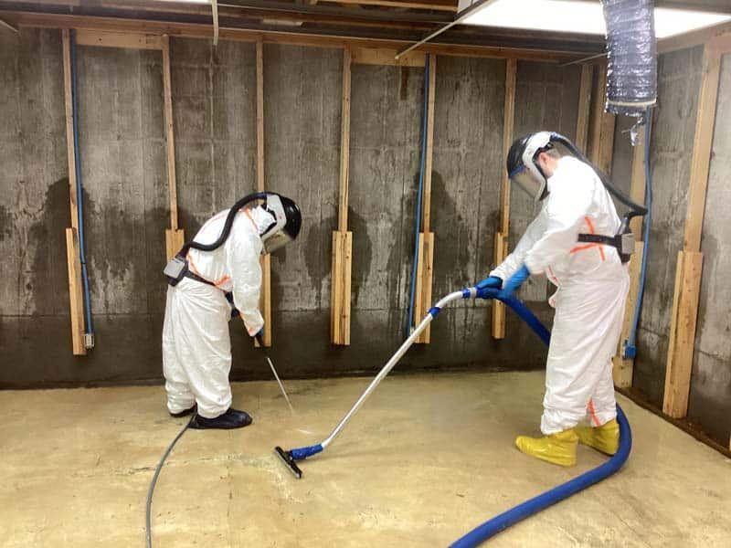 Water damage cleanup and surface treatment
